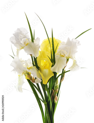 Fototapeta Naklejka Na Ścianę i Meble -  Bouquet of irises.