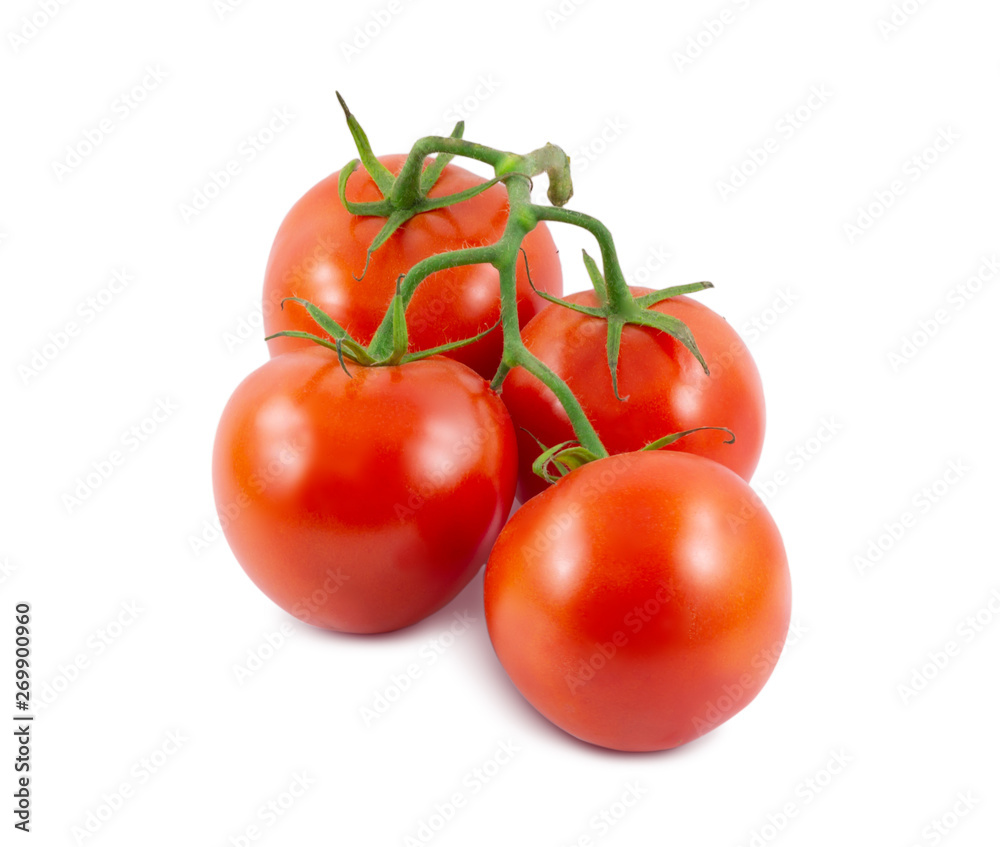 The branch of tomatoes is isolated on a white background The branch of tomatoes is isolated on a white background