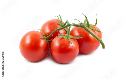 The branch of tomatoes is isolated on a white background