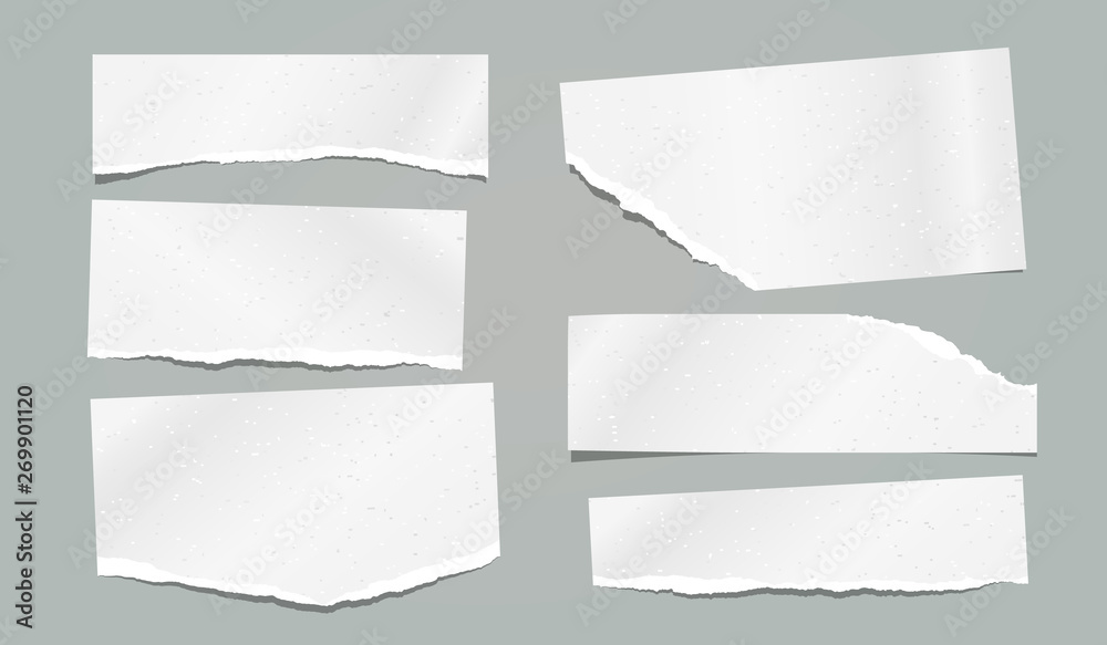Ripped, torn note, notebook grainy paper strips stuck on grey background. Vector illustration Ripped, torn note, notebook grainy paper strips stuck on grey background. Vector illustration