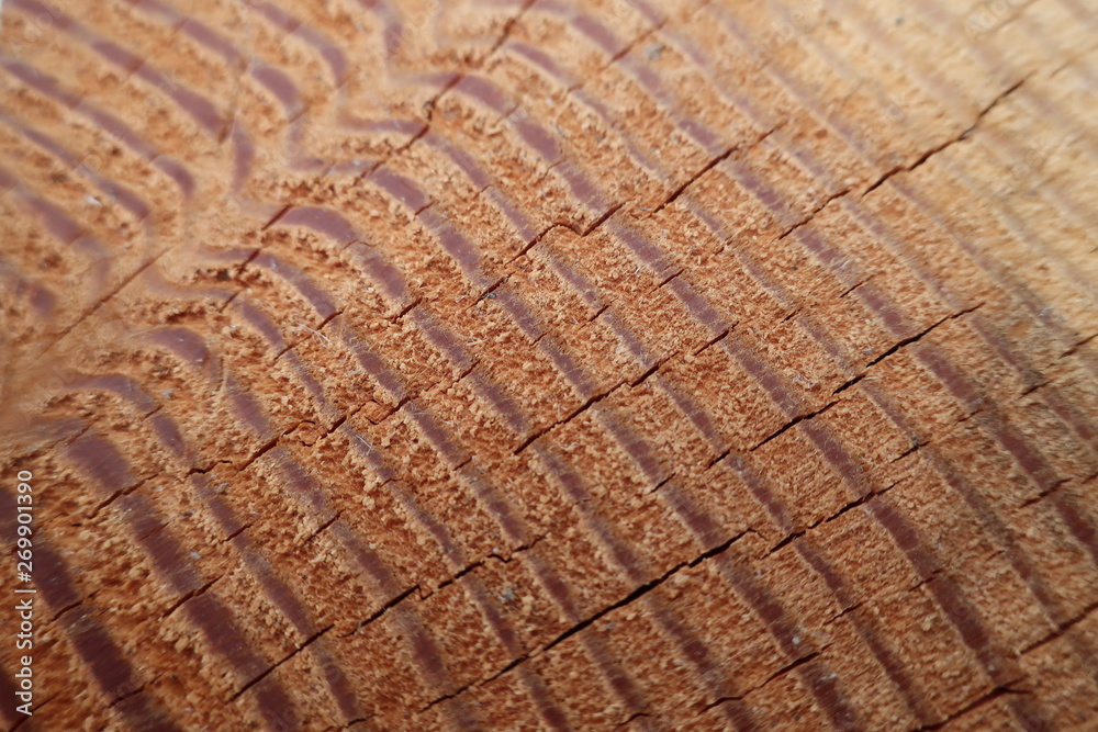 Fototapeta premium wooden background texture wood closeup