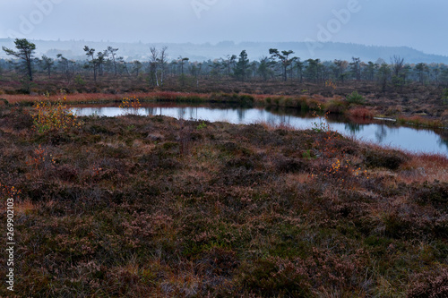 NSG    Schwarzes Moor   Biosph  renreservat Rh  n  Unterfranken  Franken  Bayern  Deutschland.