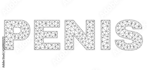 Mesh vector PENIS text. Abstract lines and spheric points form PENIS black carcass symbols. Linear carcass 2D polygonal mesh in vector EPS format.