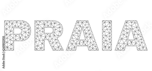 Mesh vector PRAIA text caption. Abstract lines and circle dots are organized into PRAIA black carcass symbols. Linear carcass flat polygonal mesh in vector format.