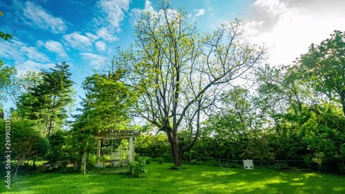 Walnut Tree and Pergola Time Lapse