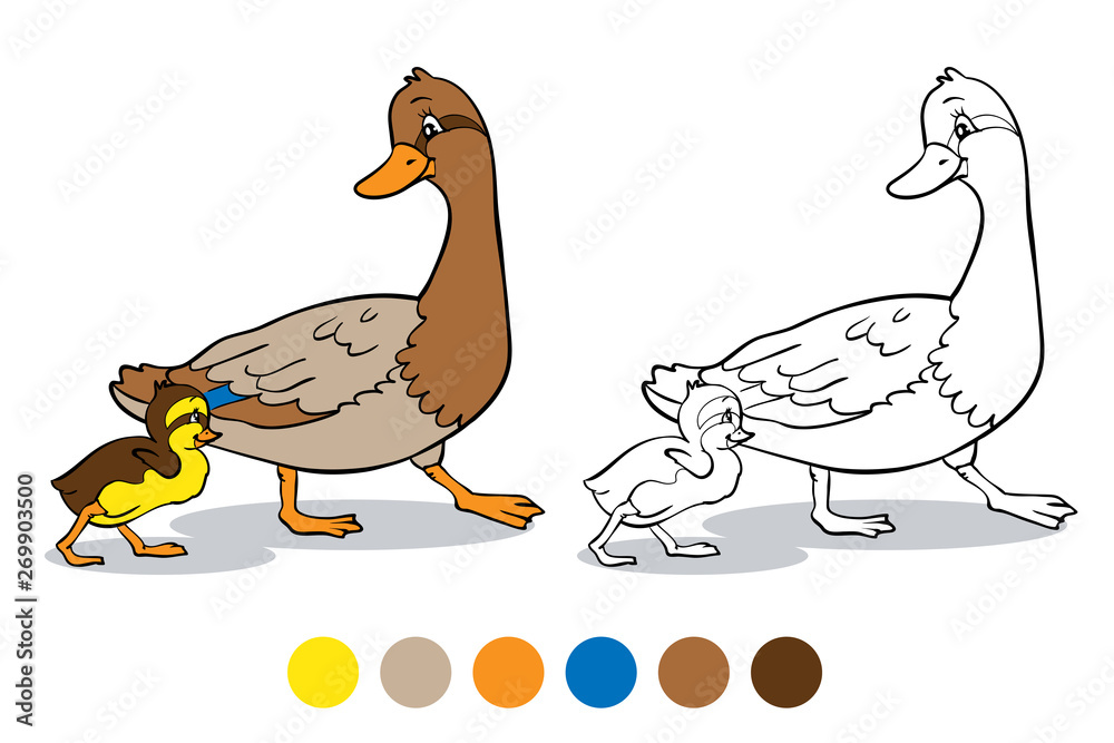 Coloring book. Mother duck and duckling.