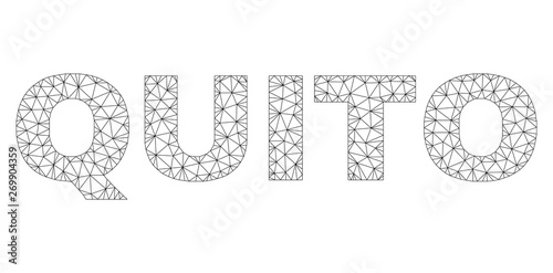 Mesh vector QUITO text. Abstract lines and points form QUITO black carcass symbols. Wire frame 2D triangular mesh in vector format.