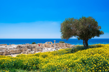 Fotobehang Cyprus Huis van Achilles in Kourion  © gatsi