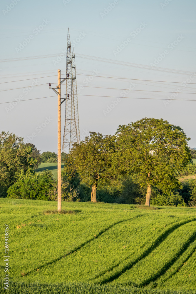 Obraz premium Strommasten im Feld