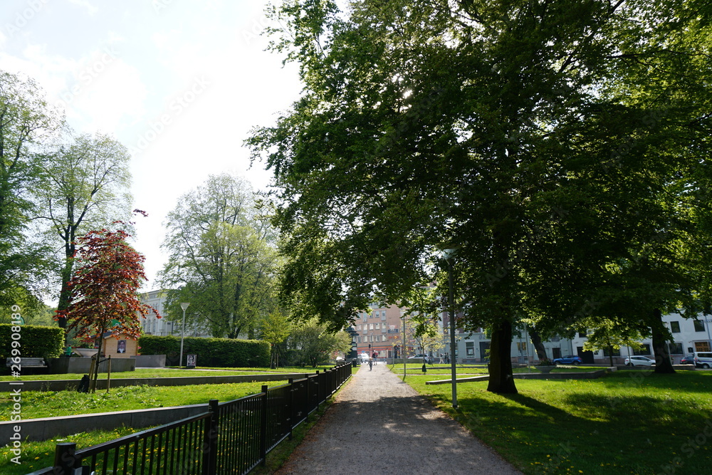 Fototapeta premium path in the park in city