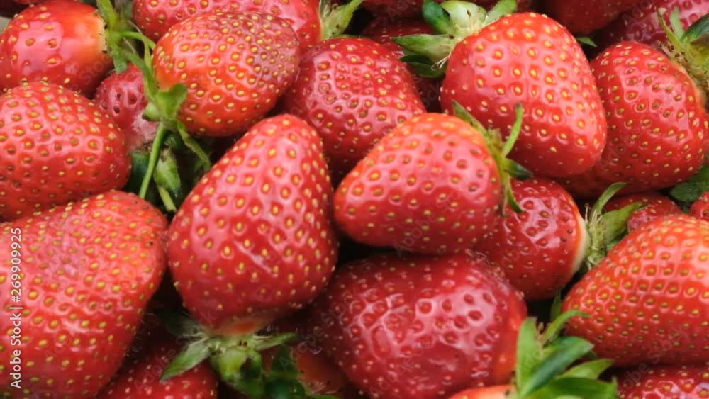 Sweet ripe strawberries berries fruit background close-up macro video clip Sweet ripe strawberries berries fruit background close-up macro video clip