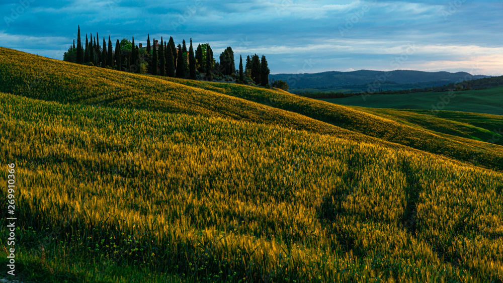 Landscape view during sunrise of Val D'Orcia, Tuscany, Italy