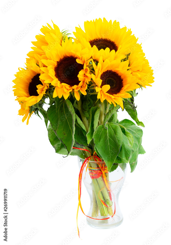 Obraz premium Sunflowers on white