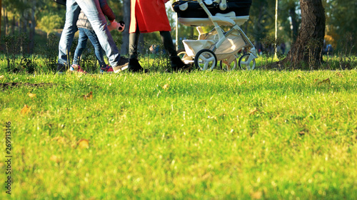 Woman walking with stroller in city park. Mothers walking with their childs in public park on sunny day, cropped image. Green park lawn in sunshine.