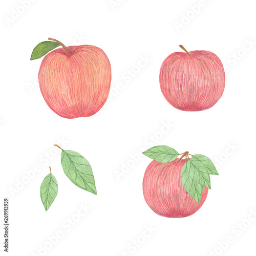 Red tasty apples set, watercolor hand drawn illustration, symbol of autumn and harvest time