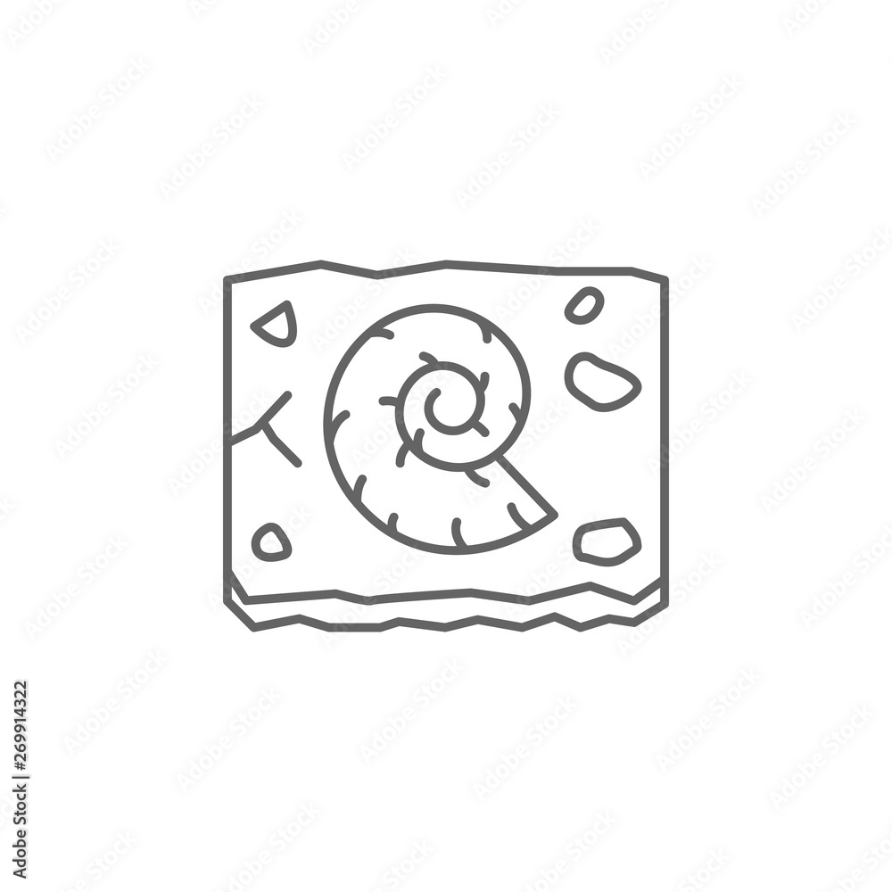history, shell, paleontology, archaeology outline icon history, shell, paleontology, archaeology outline icon