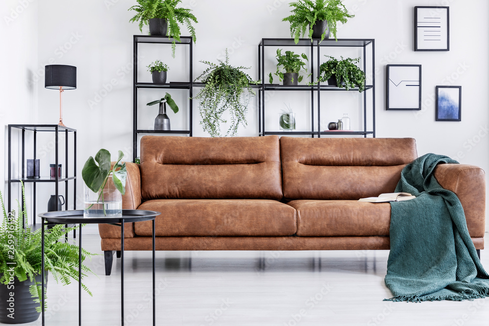 Open book and dark green blanket on comfortable brown leather couch, black  metal shelf with plants and decorations behind it foto de Stock | Adobe  Stock