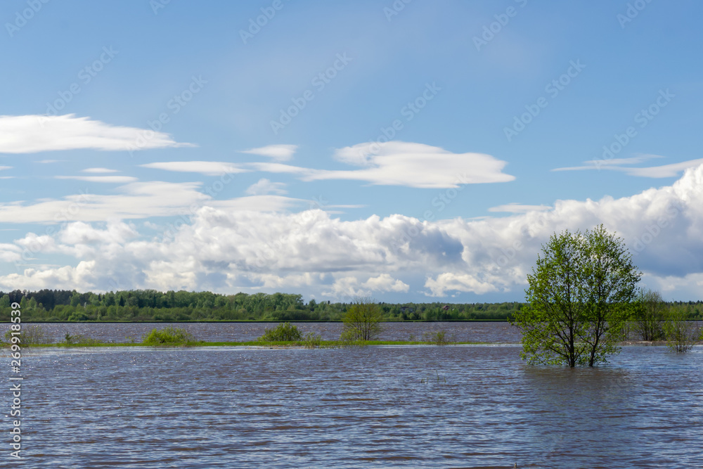 spring river during high water spring river during high water