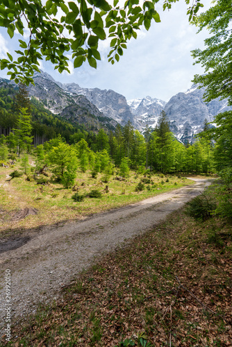 Wanderweg in der Hetzau im Almtal mit totem Gebirge