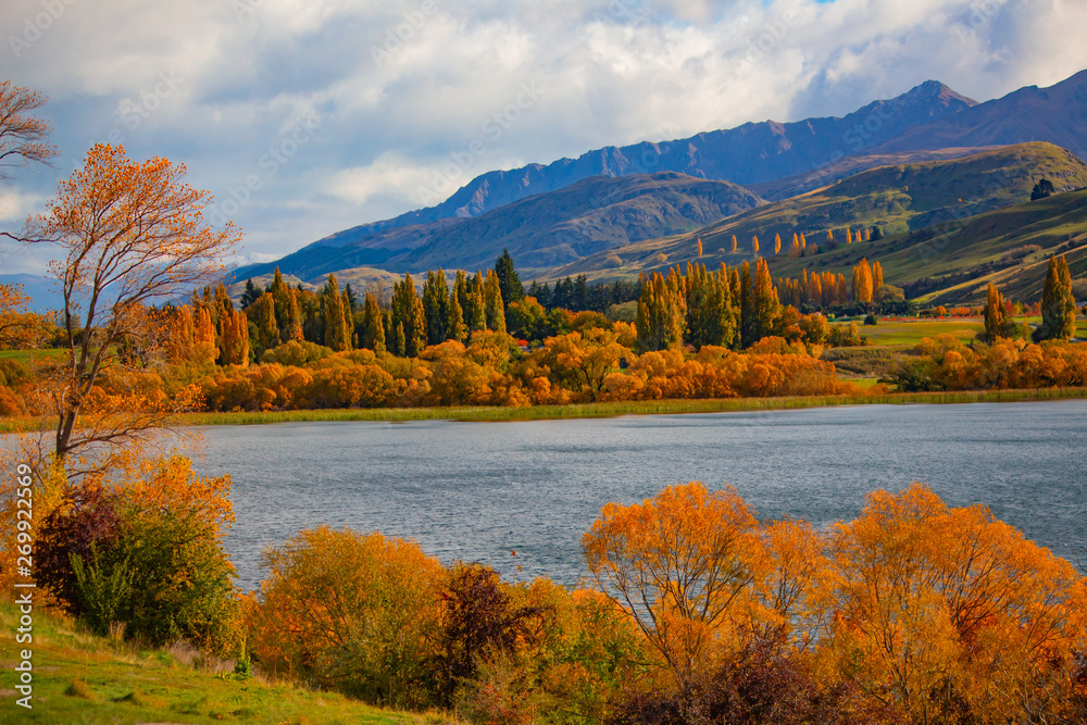 Naklejka premium autumn landscape with lake and trees