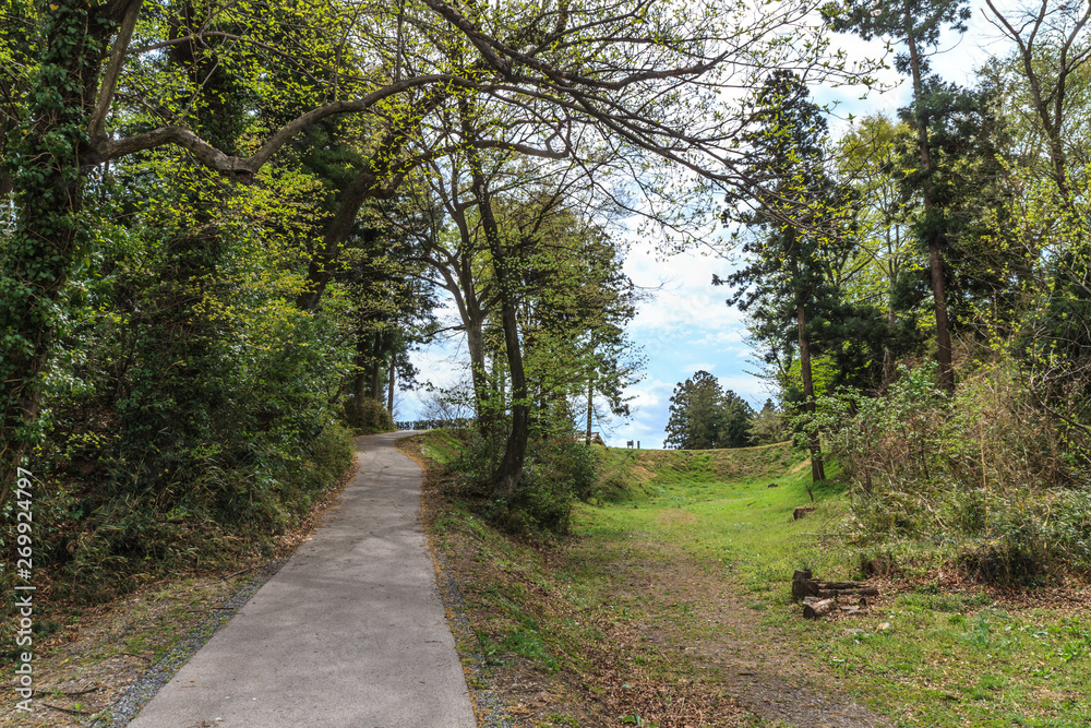 Fototapeta premium 春の箕輪城の風景