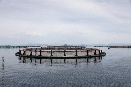 Fish farm nets cages floats in sea
