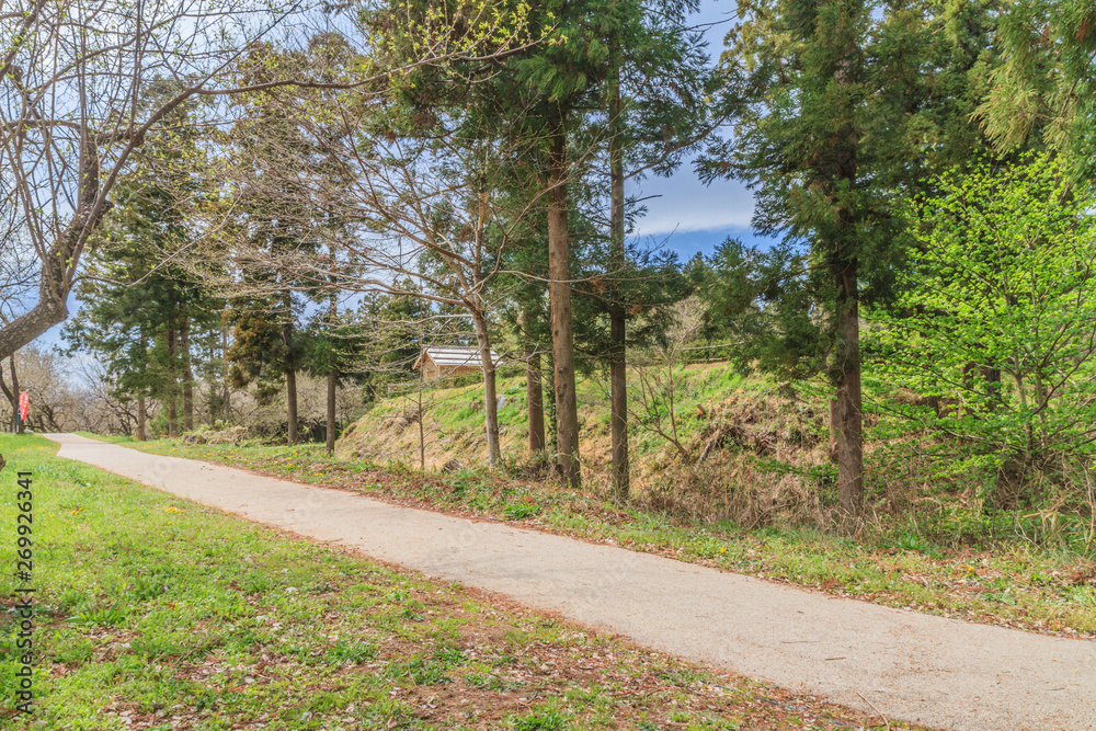 Obraz premium 春の箕輪城の風景