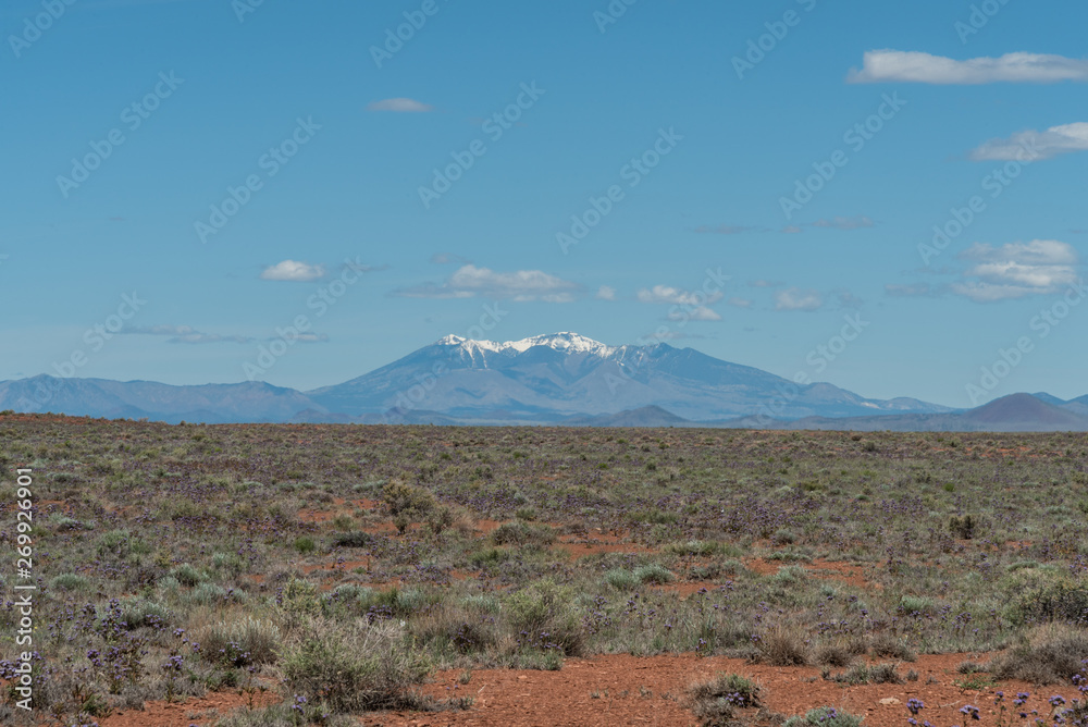 Beautiful Humphrey's Peak vista in springtime, with the northern ...