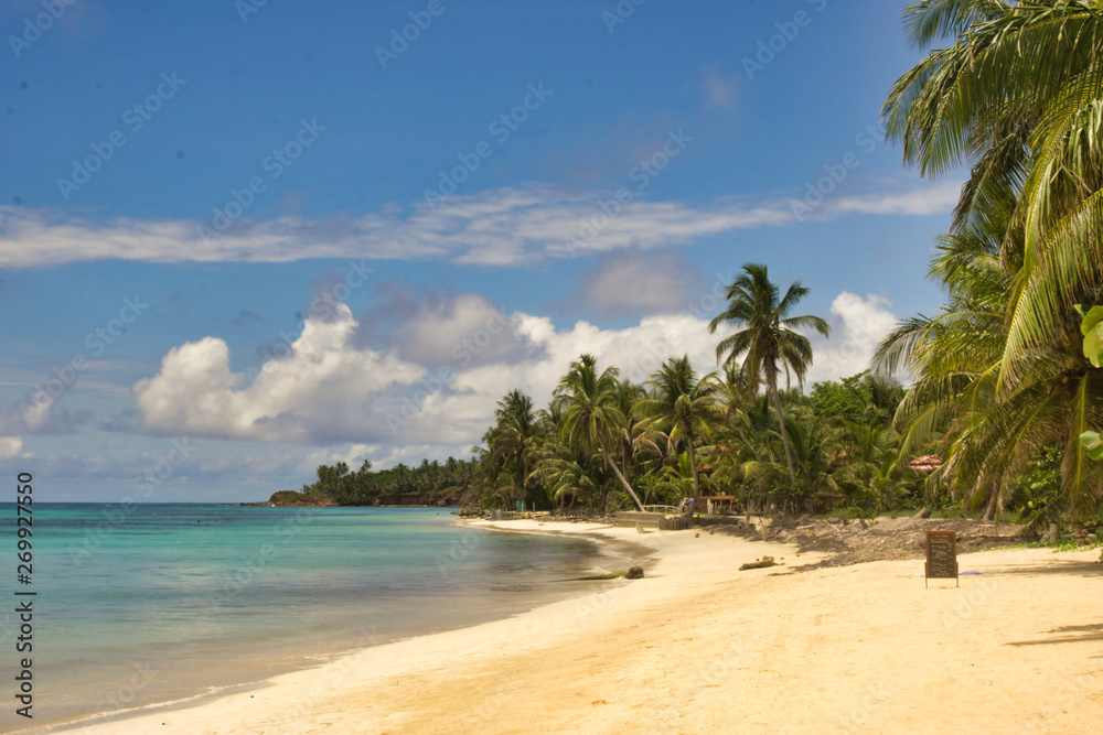 Curved beach shore with lots of vegetation and crystal clear water curved by a blue sky