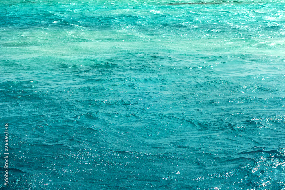 Wave ocean blue sea fresh Bermuda’s amazing underwater marine life.