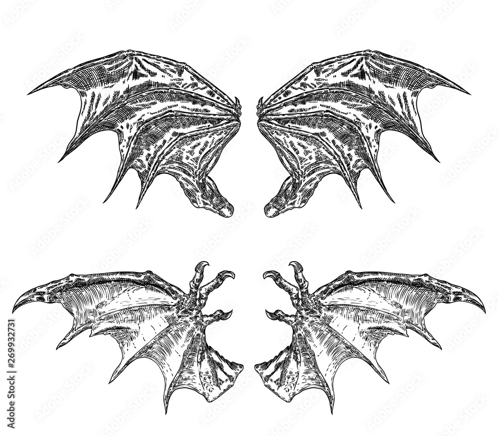 Set of hand drawn vintage etched woodcut fallen angel or vampire detailed  wings. Dragon or gargoyle wings. Heraldic wings for tattoo and mascot  design. Isolated sketch collection. Vector. Stock Vector | Adobe
