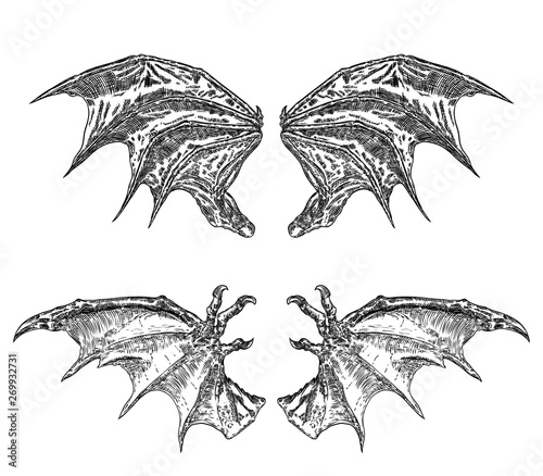 Set of hand drawn vintage etched woodcut fallen angel or vampire detailed wings. Dragon or gargoyle wings. Heraldic wings for tattoo and mascot design. Isolated sketch collection. Vector.