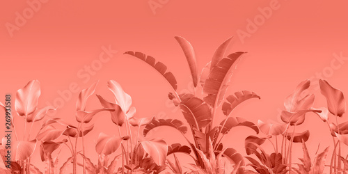 3d render, craft paper tropical leaves, pink floral background, square frame, decorative foliage, wild jungle, botanical wallpaper, blank space, digital illustration orange color 2019