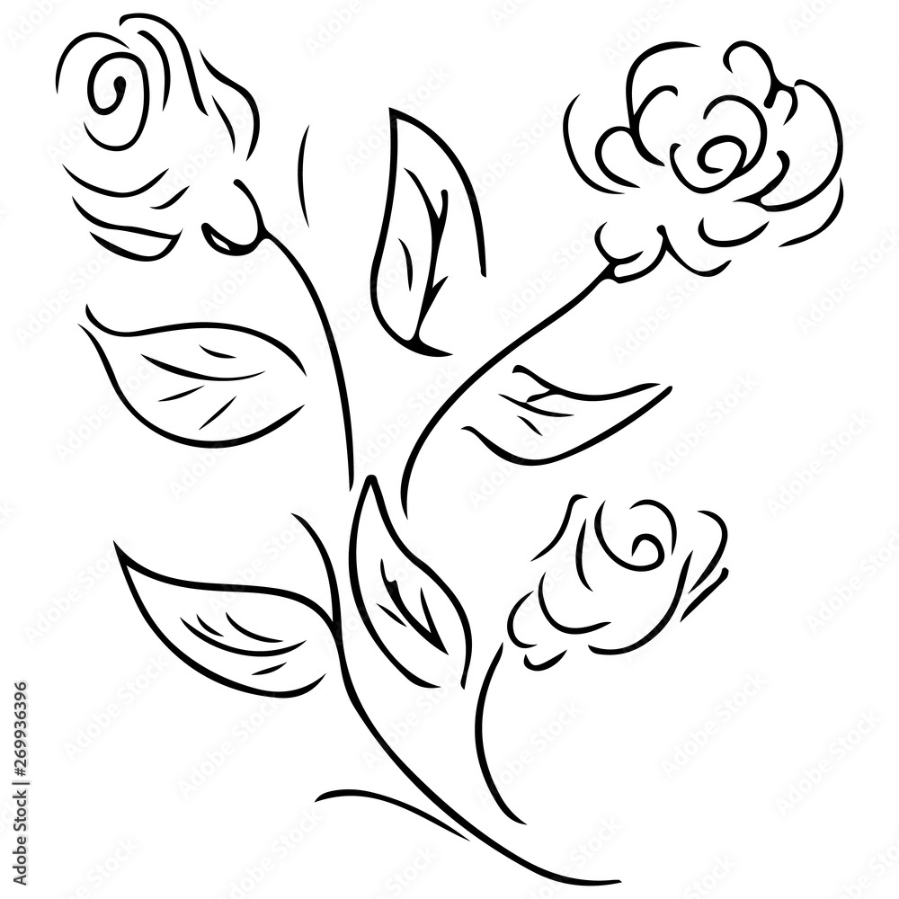 Abstract hand drawn rose flower isolated on white background. Rose flower vector outline icon. Line art Abstract hand drawn rose flower isolated on white background. Rose flower vector outline icon. Line art