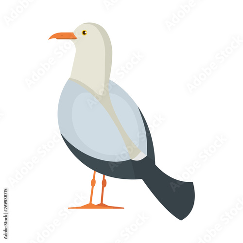 seagull marine animal icon vector illustration