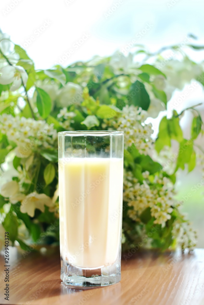Glass of natural white fat cow homemade milk on wooden table on blurred background of bouquet of flowering branches of Apple and cherry blue sky with white cloud. Selective focus Glass of natural white fat cow homemade milk on wooden table on blurred background of bouquet of flowering branches of Apple and cherry blue sky with white cloud. Selective focus
