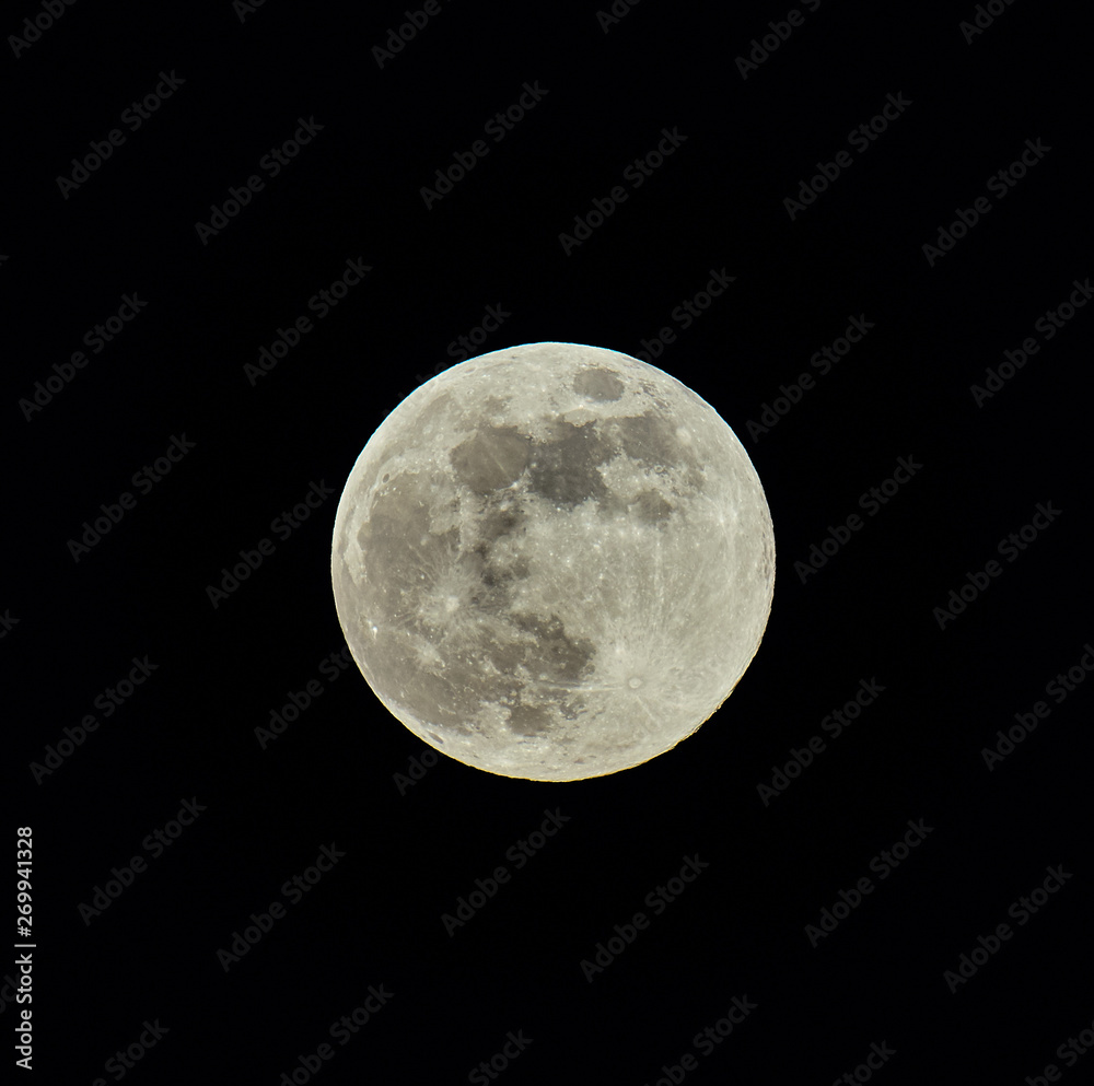 Fototapeta premium The Moon