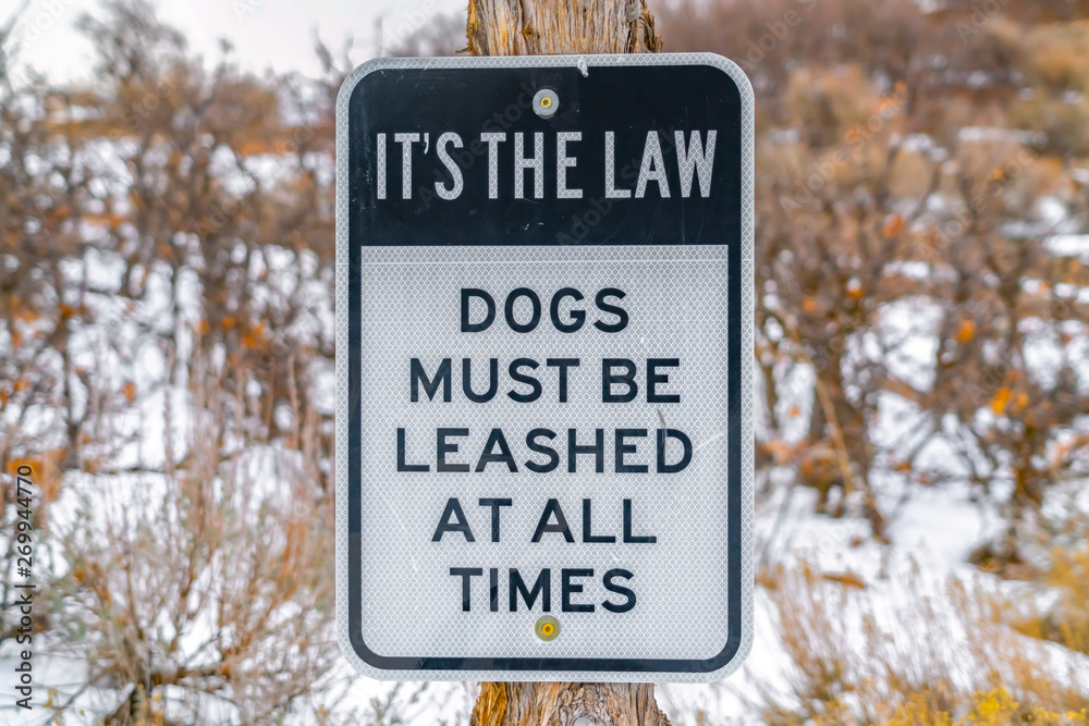 Close up of a Dog Leash sign on a wooden post against a snowy landscape
