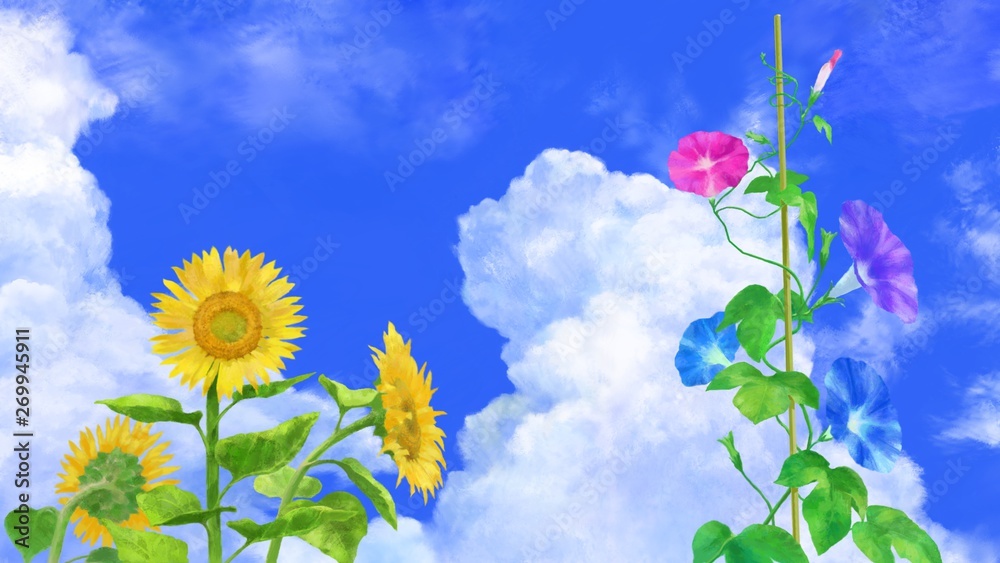 入道雲と向日葵とアサガオ イラスト素材 Stock Illustration Adobe Stock