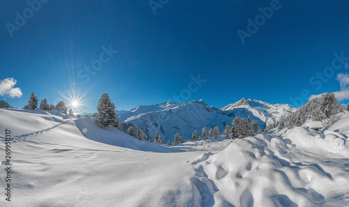 winter panorama in the alps