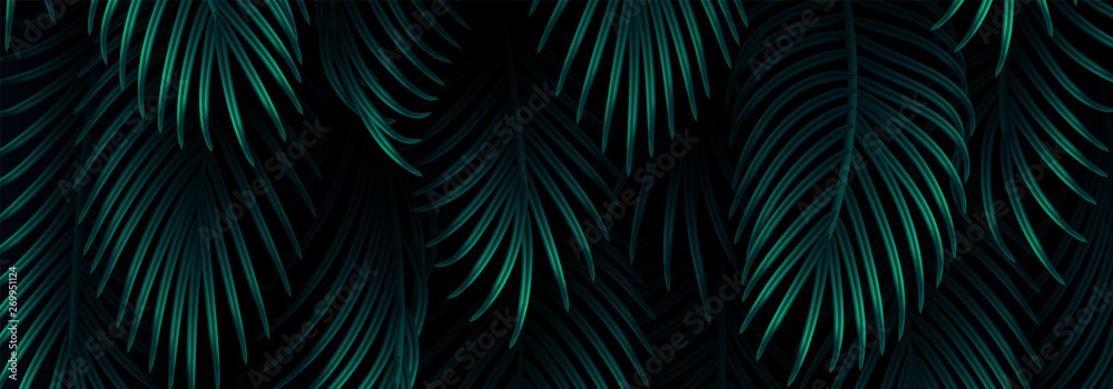 Branch palm realistic. Leaves and branches of palm trees. Tropical leaf background. Green foliage, tropic leaves pattern. horizontal website header. vector illustration