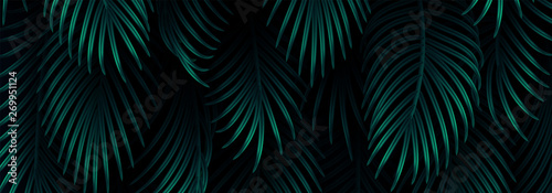 Branch palm realistic. Leaves and branches of palm trees. Tropical leaf background. Green foliage, tropic leaves pattern. horizontal website header. vector illustration