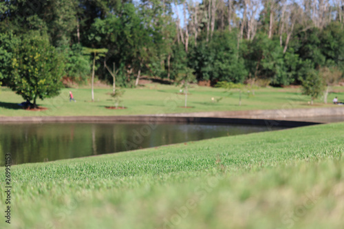 woman walking in park