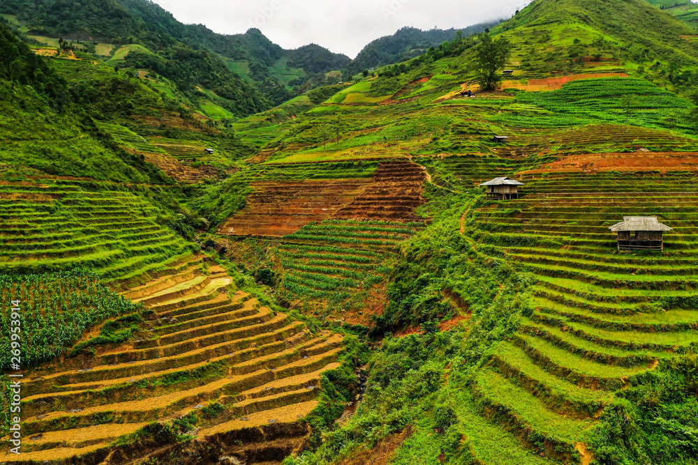 Beautifully stacked rice terraces in northern Vietnam along the gorgeous Ma Pi Leng Pass.