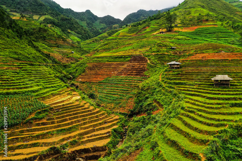 Beautifully stacked rice terraces in northern Vietnam along the gorgeous Ma Pi Leng Pass. © Cody