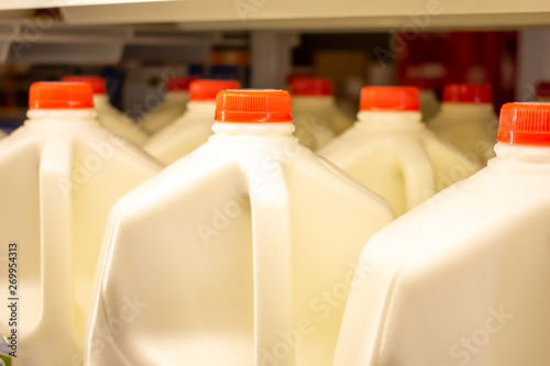 Bild auf Leinwand Several gallons of milk in the refrigerator