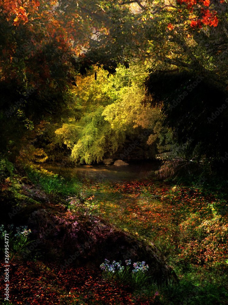 Obraz premium Colorful Fall Foliage on Rivanna Trail in Charlottesville, VA