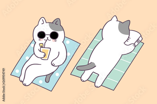 Cartoon cute summer cat on beach vector.