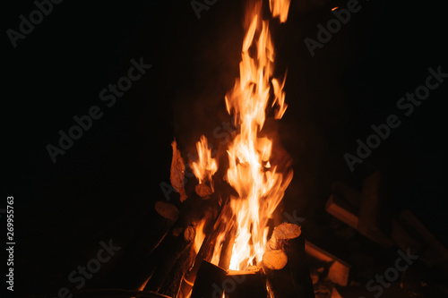 Beautiful fire in the forest on a black background.