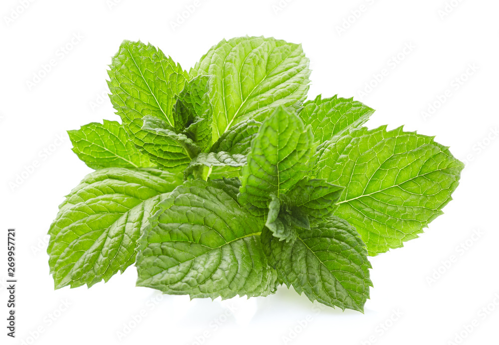 Mint leaves in white background Mint leaves in white background